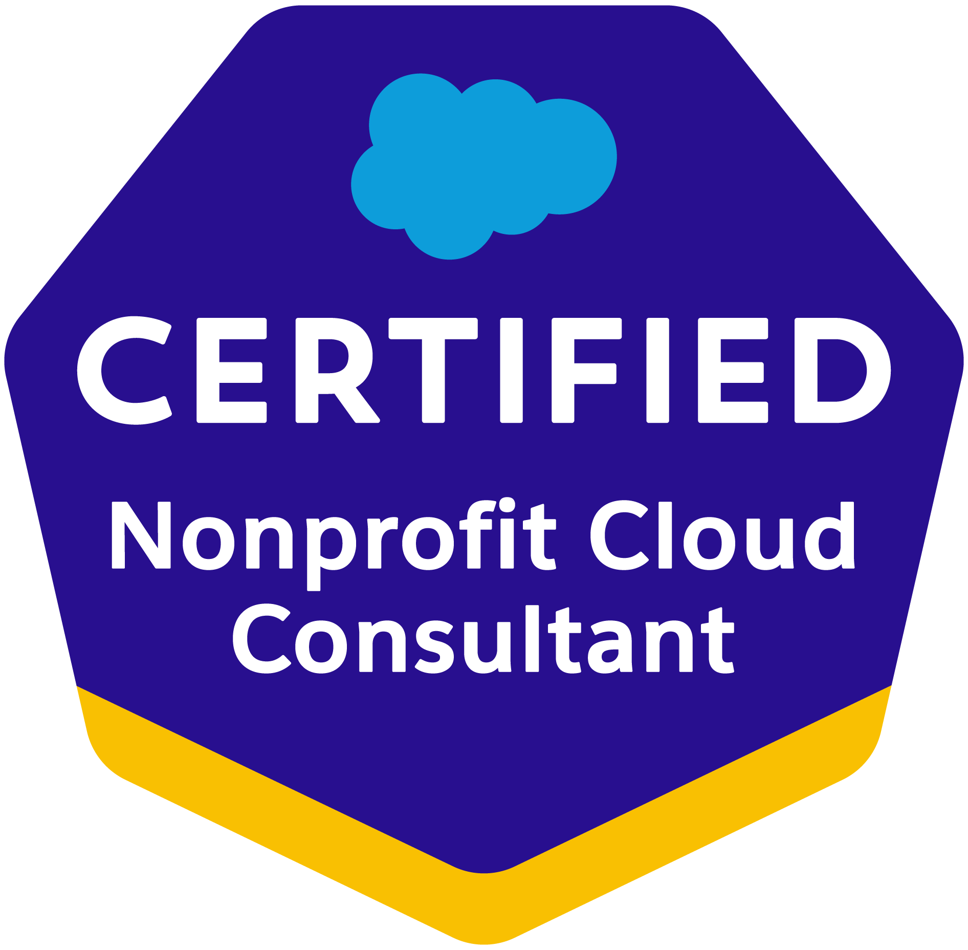 Nonprofit-Cloud-Consultant - Nonprofit Cloud Consultant